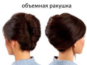 Объемная ракушка Объемная ракушка
